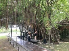 ４年ぶりの海外旅行はノープランの台湾旅行／その10／台南担仔麺の発祥とされる度小月原始店本舖で担仔麺を味わう。