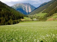 スイス・ハイキングの旅 2023夏（11）Binn谷：フェルドからビンを歩く