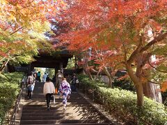 鎌倉の紅葉を見に行ってみました。2023年秋