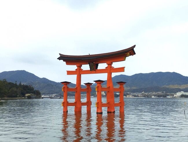 広島旅行2日目前編は・・<br />早朝に出発して宮島へ。<br />散策してからシナボンを食べに、ゆめタウン廿日市へ行きました。