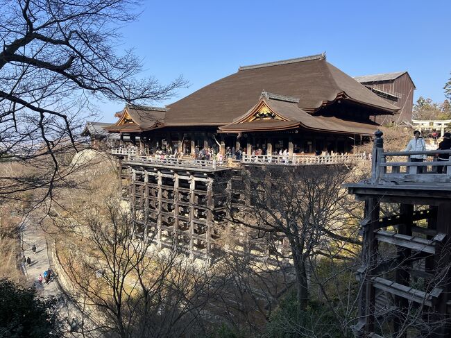 京都２日目は　渡月橋　金閣寺　平安神宮　八坂神社を巡ひ　3日目は　清水寺とお昼からポケモンGO