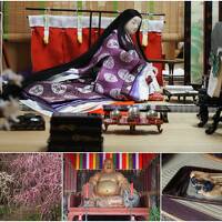 しだれ梅と源氏物語 -2024 冬 京都 