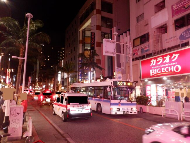 那覇空港からはゆいレールに乗り、那覇市内中心部に移動して夜の国際通り等を歩きました。