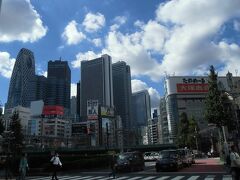 内藤新宿散歩