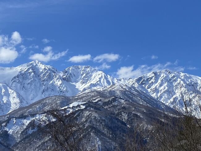 雪の北アルプスと白馬三山の絶景を楽しむ一泊二日の旅でした。<br />何度も訪れている白馬ですが、定番の白馬大橋からの絶景はもちろんのこと<br />白馬大橋の近くのどんぐりパノラマ展望台は初の訪問でした、<br />ここからの目前に迫る白馬三山の絶景は大迫力でした。<br />また、松本市のアルプス公園は有名でみなさんご存知と思いますが、<br />近くの芥子坊主農村公園の展望台も穴場の絶景ポイントです。<br />最近オープンしたばかりの松本駅近くの「元祖信州ひとくち餃子マルフク」に夕食を食べに行きました、餃子はもちろんですが、ポテトサラダも超お勧めです、是非一度チャレンジしてみてください。<br />