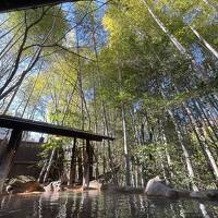 とくたびマイルで熊本へ前編～黒川温泉入湯手形で湯めぐり