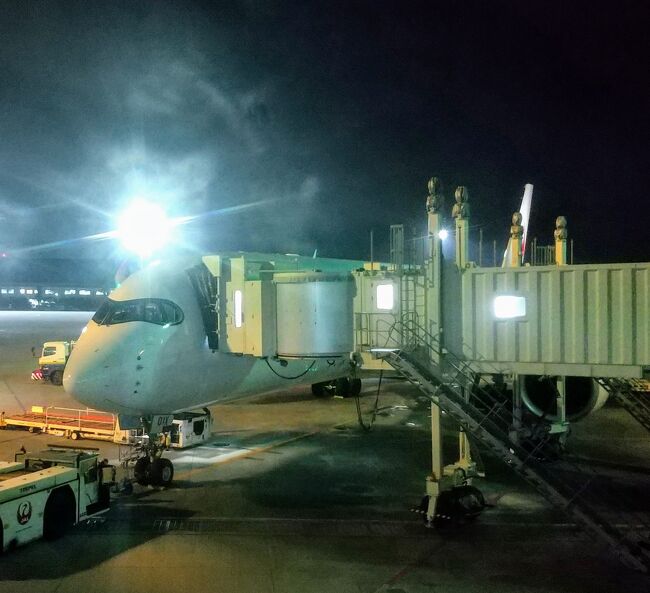 那覇空港からＪＡＬ９２２便で帰京しました。