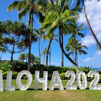 ★Happy New Year！～ハワイで過ごすお正月{Marriott's Ko Olina}滞在＋円安のハワイで爆買い記録⑤