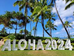 ★Happy New Year！～ハワイで過ごすお正月{Marriott's Ko Olina}滞在＋円安のハワイで爆買い記録⑤