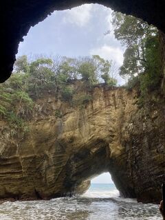 マダム達との温泉旅行2024　2年目は熱海温泉～河津桜まつり～下田で金目鯛の煮付け