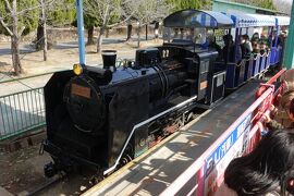 ほのぼの遊園地・佐賀神野公園が浦安のテーマパークのようだ！【ホリデーアクトパスで福岡近郊バスの旅その３】