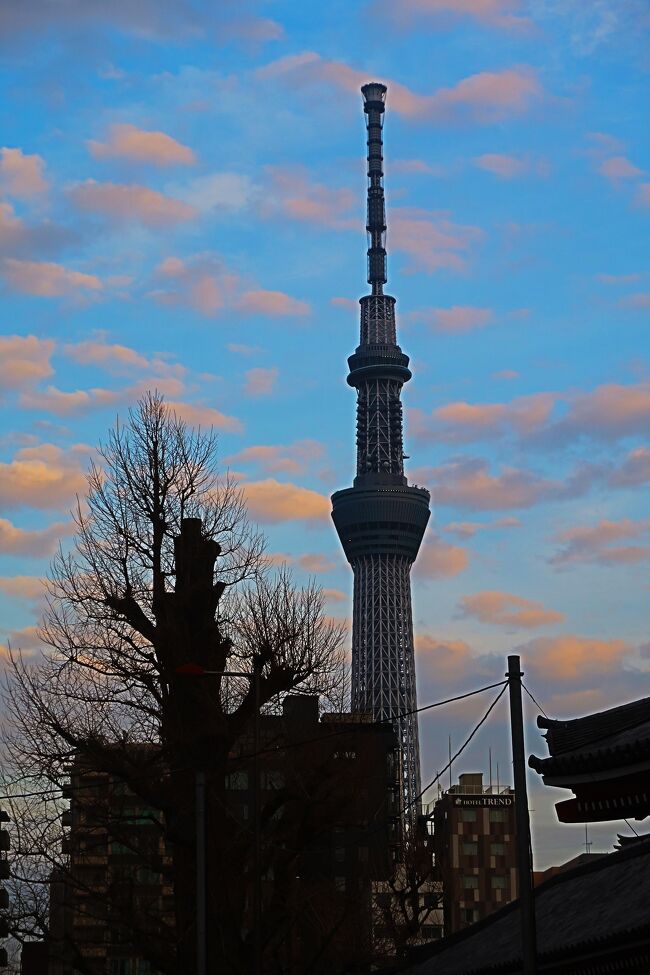 東京スカイツリー（英: TOKYO SKYTREE）は、東京都墨田区押上にある電波塔（送信所）。2012年2月29日に完成し、同年5月22日に電波塔・観光施設として開業した。<br /><br />東京のランドマークの一つ。高さは634 mで、タワーとしては世界第1位。<br />商業施設「東京ソラマチ」やオフィスビル「東京スカイツリーイーストタワー」が併設されており、東京スカイツリータウンを構成している。<br /><br />東京スカイツリー　については・・<br />https://www.tokyo-skytree.jp/<br /><br />浅草寺五重塔－仏舎利奉安･霊牌･五輪塔安置<br />慶安元年(1648)三代将軍徳川家光公により再建され､明治44年には国宝指定を受けていたが､昭和20年3月14日戦災により焼失｡<br />昭和48年11月1日に鉄骨鉄筋コンクリート造りで回廊式”塔院”の上に五重塔を建てる｢塔院造り｣の方法で再建された。塔院には霊牌殿があり百体の聖観音像と1万2千基の永代供養の位牌が安置されている｡<br />五重塔の最上階にはスリランカの王立寺院から奉載した｢聖仏舎利｣を納め､途中階には信徒奉納の｢五輪宝塔｣が奉安されている｡<br />地上53.32ｍ(塔のみ48.3ｍ)を誇る高さは京都東寺に次いで高い五重塔だ｡<br /><br />浅草寺　については・・<br />https://www.senso-ji.jp/<br /><br />