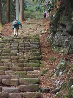 登山・ハイキング