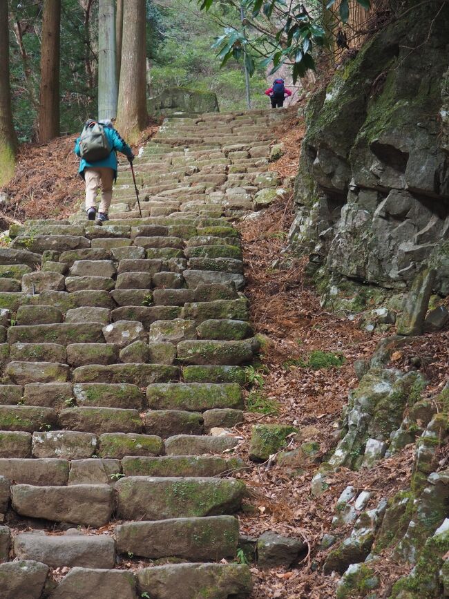 丹沢の大山は首都圏からの日帰り登山が可能な初級者向けの山として知られる。<br />もっとも標高差は969ｍあり、そこそこ疲れる。<br />まあ、最悪ケーブルカーに乗って下ることもできるし、阿夫利神社に新しくできた茶寮 石尊もちょっと気になるし。<br /><br />ということで2月最初の連休の中日は丹沢へ。<br />