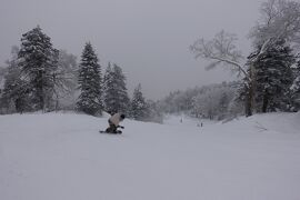 エッ！樹氷の無い蔵王への旅★ゲレンデで道を尋ねる編