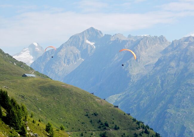 7月23日は今夏スイスハイキングの最終日、明日の帰国準備もあるので「近くの場所を歩こう」ということで、フィッシャーアルプの散策と決めた。