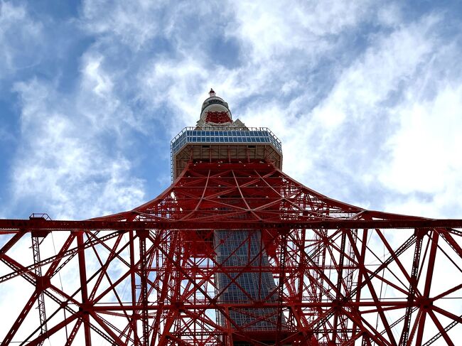 2月の旅行その前に。。出発前に東京の代名詞！東京タワーへ行ってみよう .｡.:*☆　後編