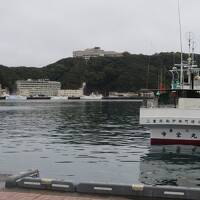 かけ流し天然温泉＆鮪の町、紀伊勝浦へ