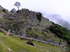 ペルーの旅行記
