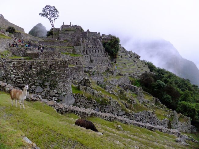 悠久のアンデス　聖地マチュピチュを目指して①：インカの都クスコ編