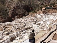 悠久のアンデス　聖地マチュピチュを目指して②：インカの実験場モライ遺跡、時が止まったマラスの塩田