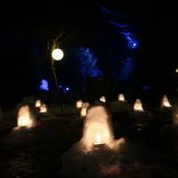 【暖冬だから雪が見たい】平家落人ゆかりの湯西川温泉でかまくら祭り　