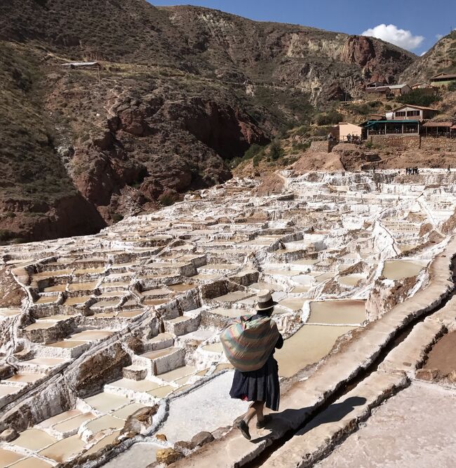 悠久のアンデス　聖地マチュピチュを目指して②：インカの実験場モライ遺跡、時が止まったマラスの塩田
