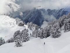 ハイキング・登山