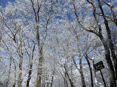 山梨の低山で霧氷登山