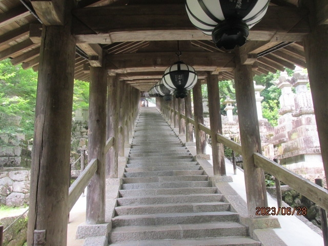 豊山長谷寺は「花の御寺」として有名だが、もう一つ有名なものは、屋根付きの回廊、石段だ。その長い屋根付きの石段はこの寺を象徴するものとして、あちこちの写真や映像に流れている。クリントイーストウッドの映画「マジソン郡の橋」とかイタリアの古都フィレンツェにある「ポンテヴェキオ」、京都東福寺の「通天橋」とか、橋に屋根を付けた「屋根付き橋」は各国にあるが、石でできた参道、石段に屋根を付けるのは珍しい。福井永平寺とか横浜鶴見の総持寺などにも回廊があるが、それは石段ではなく単なる長い屋根付き廊下だ。<br /><br />この石段、一体何段あるのだろう。見た感じは２００ｍ以上はありそうだ。駅からここまでの長い道のり。漸く山門を潜って山内に入ったら、直ぐにも又長い石段。お遍路は苦労の連続だ。中々簡単には彼岸に辿り着けないのだ。ただ幸いに石段は緩やかな角度で、段差も少なく、両側に昔からの手摺もあって、その太い丸木の手摺を頼りに、休み休み上って行けば、足の弱った参詣者でも上ることはできる。<br /><br />この寺は牡丹の花で有名で昔から「花の御寺」と呼ばれているが、残念ながら４月～５月に満開を迎える牡丹の花は既に終わっていて、今はその牡丹に代わって境内には満開の紫陽花がびっしりと植えられている。参詣客もこの花を目当てに来ている人も多いようだ。紫陽花の斜面を散策したり、難しい角度での写真撮影などもしている。<br /><br />そうした花を眺めたり、他の参詣者を見たりして、休み休み上ってきたせいか、漸く長い石段を登り切った。ここでは屋根付き石段は「登廊」と呼ばれている。２００ｍを越える程の長い「登廊」を登り切ったら、それが終わりではなく、そこから更に右手に曲がって少し進み、再び又左に曲がって更に１００ｍ程の「登廊」が続く。この「登廊」は結局３段に分かれていたのだ。この３段の「登廊」を登り切った先に漸く本堂の入り口になった。