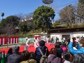 横浜　保土ヶ谷公園「梅まつり」、河津桜も　２０２４年