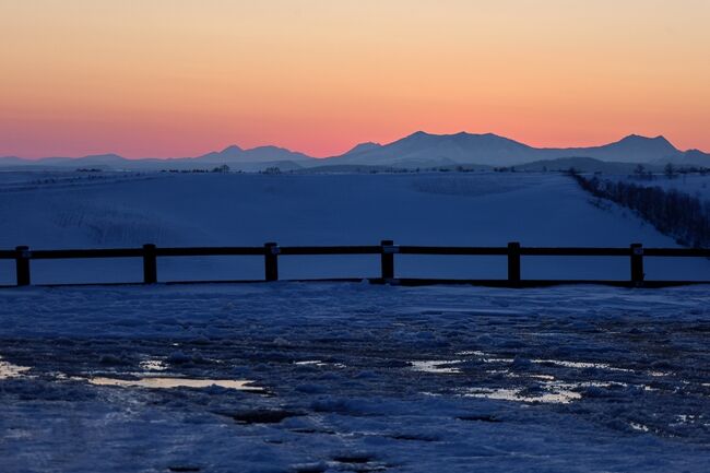 厳冬の羅臼で流氷とワシを撮りたいと思っていた時に見つけたツアー。<br />キャンセル待ちだったけど、何とか、行けることが決定。<br />添乗員さんだけが同行のツアーで、一日目は丸山公園にて自由に撮影。<br />その後、開陽台で夕陽を撮影でした。<br />野生の物を撮影するので、100mmから500mmの望遠レンズをレンタルし、自分のカメラは一台にしてしまったので、予備のカメラもレンタル。<br />各々、随時、探しての撮影及び、野生動物がいたら、その場で止まって撮影というスタイルということを初めて知りました。
