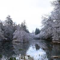 冬の軽井沢・クラシックホテルに滞在と森の散策やドイツ料理でプチ海外旅行気分