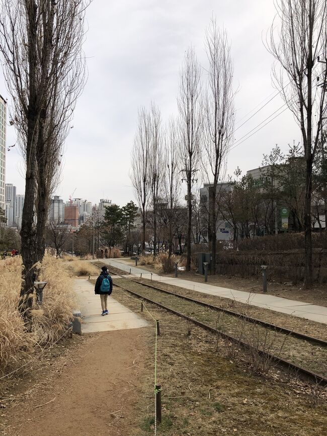 昨夏のニャチャン旅行後オーストラリアへ行きたい熱が再燃。<br />しかし航空券も現地物価も高く、更には超円安。泣<br />でも行きたい時が行き時。<br />財力はないけど気力、体力のある今のうちに、<br />腹を括って行く事にしました！<br /><br />で何故今回ソウルへ行くのかと言うと、<br />東京⇄シドニー間の単純往復はとても高く手が出なかったので、ANAのシドニー往復をソウル発券しました。<br />春休みオーストラリアへ行く為にまずは冬のソウルへ行ってきます。<br /><br />※この旅行記は2月24日、旅行3日目の記録です。<br /><br />★スケジュール★<br />2/22 成田→仁川（大韓航空）<br />2/23<br />2/24 金浦→羽田（ANA）<br /><br />★ホテル★<br />2/22 DARAKHYU Terminal 2<br />2/23 新羅ステイ麻浦