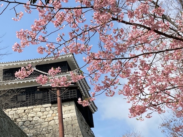 松山城を訪れた時期は城内に美しく咲く桜が似合い 、そのほか「松山城」の魅力はなんと言っても天守最上階から瀬戸内海や松山平野を見渡せる眺望がすばらしかった。松山市屈指の絶景スポット。<br />城内には天守閣はもちろん21もの重要文化財が現存しており、見どころがあった。<br /><br />松山のほぼ中心、勝山山頂(標高132m)で聳える名城。日本で12しか残っていない天守を持ち、また姫路城や和歌山城と供に、日本三大連立式平山城の一つとして数えられている。慶長７年(1602年)に賎ケ岳に、20年以上の歳月をかけ加藤嘉明によって築城された。門・櫓・塀を多数備え、高石垣などを巧みに配し、攻守の機能に優れた連立式天守を構えている。