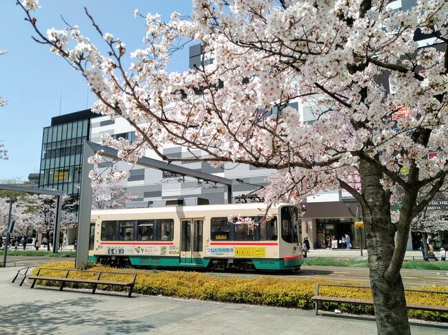 ４月に北陸の富山へ一人旅に行ってきました。<br />実は富山は初上陸。<br /><br />1日目は富山市内をゆるく観光していきます。