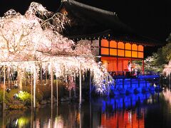 シニアの2024  もうすぐ桜の季節ですねっ！　十数年撮りためた京都の桜の写真をまとめてみました