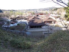 春の花巻温泉とえさし藤原の郷