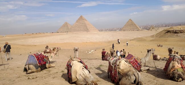 コロナ直前でキャンセルせざるを得なかったエジプト旅行に再チャレンジする機会が訪れました。一度は見たいと思っていたピラミッドを訪れることができたほか、ツタンカーメンの黄金のマスクを展示してある考古学博物館、完全公開間近の大エジプト博物館にも入場し、日本の飛鳥地方のような王墓が集中している王家の谷にも行くことができとても内容の濃い旅行でした。