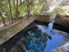 1歳児連れ：東京帰省と上野観光からの沼津に寄り道