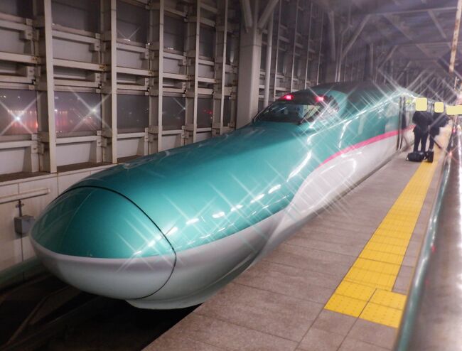 弘南バスの青森線に乗った後は、新青森駅の「めぇ」で夕食を食べて、東北新幹線のはやぶさ４４号に乗りました。