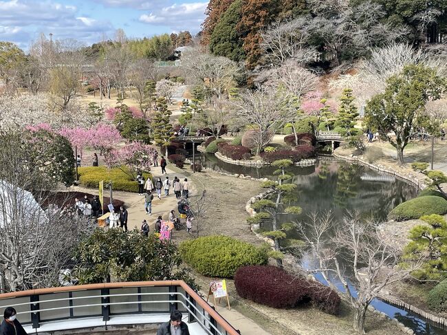 この時期になると、梅や桜が気になります。梅に関してはこの2、3年で神奈川近隣の梅の名所を行きました。今回は思い切って遠出して水戸偕楽園へ行くことにしました。三連休の中日だけ晴れ予想だったので、前日に特急ひたちを予約して、レッツゴー！