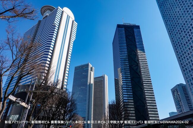 冬の青空が広がっているので、途中で車に便利な寺社仏閣を参拝しながら西新宿の高層ビル街までドライブ＆フォトウォーク。<br />西新宿の新宿中央公園付近は、日曜日も営業中の路上パーキングが便利な地域。そのうえ都庁の観光センターには全国の観光情報パンフレットが集約しているので、公園散歩と次回の旅行計画を立てるのに最適な地区です。<br />