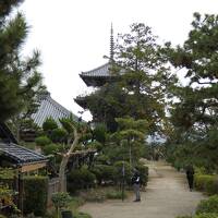 聖徳太子所縁の斑鳩の里、法起寺・法輪寺・中宮寺跡・藤ノ木古墳巡り