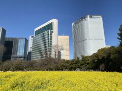 浜離宮恩賜庭園