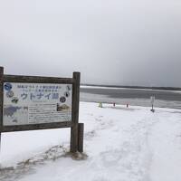 冬の北海道　1泊2日で千歳・ウトナイ湖へ（2日目　野生鳥獣保護センターの展示は凄い！）