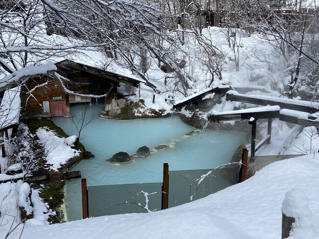 雪の季節に一度は訪れたいと思っていた、白骨温泉の秘湯の宿「泡の湯」で雪の露天風呂を堪能する事がかなった旅でした♪<br />ぬるめの源泉掛け流しの露天風呂は本当に最高でした♪<br />宿の料理も美味しいしくてボリュームもたっぷりで大満足でした。<br />温泉旅館の醍醐味を十二分に味わうことができて本当に幸せな気分になりました。<br />