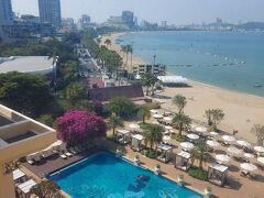 大爆音ROCK 毎深夜 ^^)!..BANGKOK＋PATTAYA＝1６days＋別姓学生＆キバナコスモス。 Avantgardey ３０本