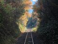 紅葉の芸備線に乗って備後落合駅から比婆山温泉へ　駅から歩いて温泉vol.4