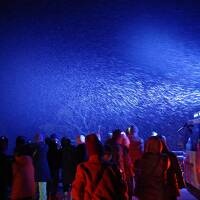 旅する電脳ジジイ　奥入瀬渓流　氷瀑ツアー